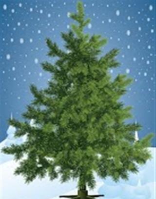 Christmas Tree Maker截图1