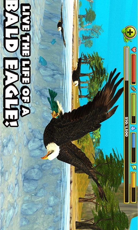 Eagle Simulator截图2