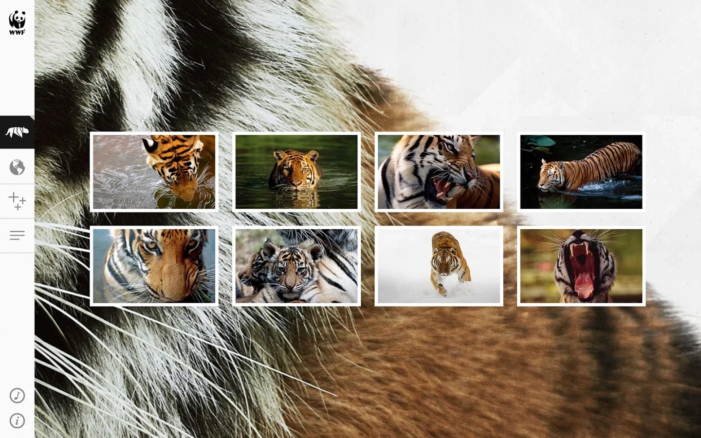 WWF Together截图6