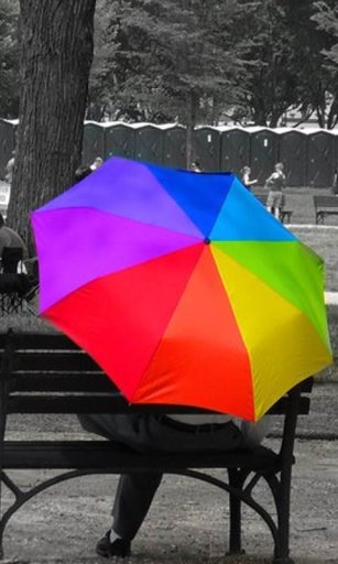 Color Splash Photo Touch截图5