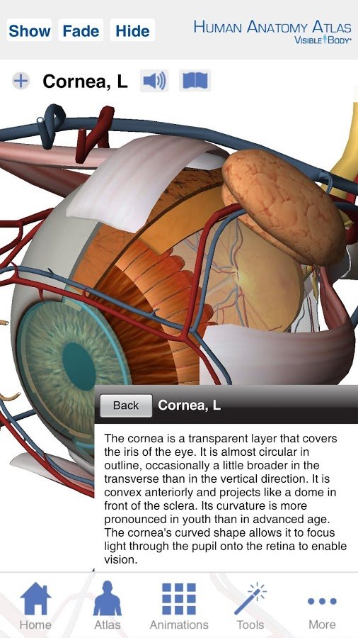 Human Anatomy Atlas SP截图8