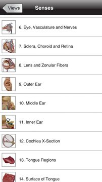 Human Anatomy Atlas SP截图