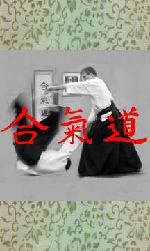 Aikido Library Free截图