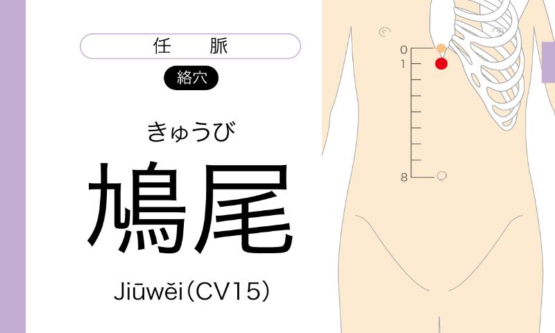 Tsubo Card Lite截图2