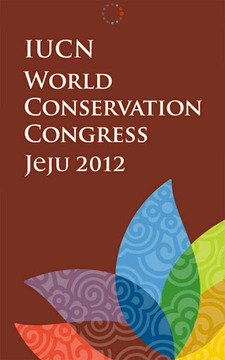 2012 WCC截图