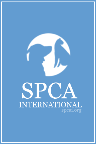 SPCA International Dog Trainer截图1