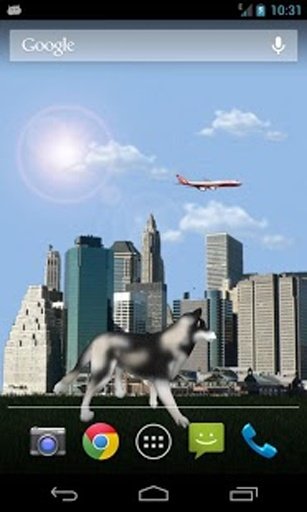 Dog Husky Traveling 3D LWP截图4