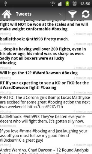 Boxing Fan截图2