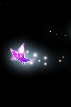 3D Beautiful Butterfly截图