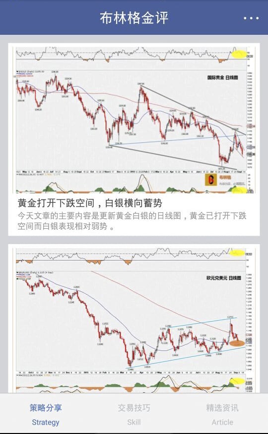 布林格金评截图2