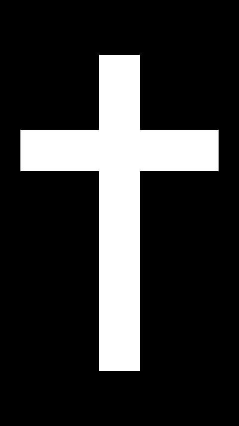 圣十字截图1