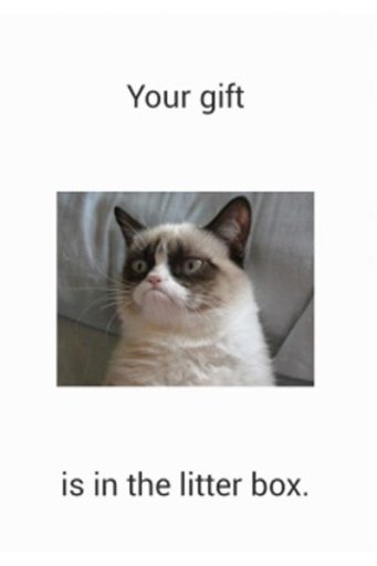 Grumpy Cat截图2