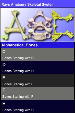 Rays Anatomy Skeletal System截图5