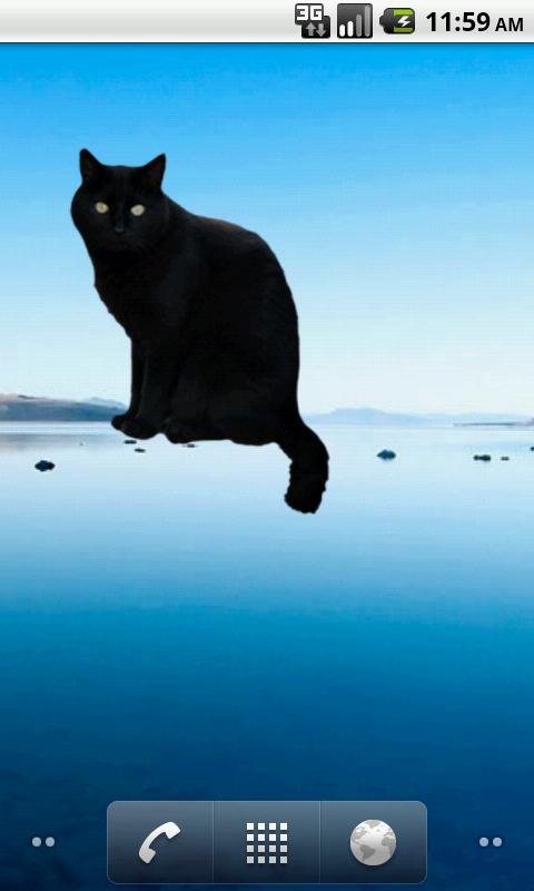 Black Cat Sticker截图4