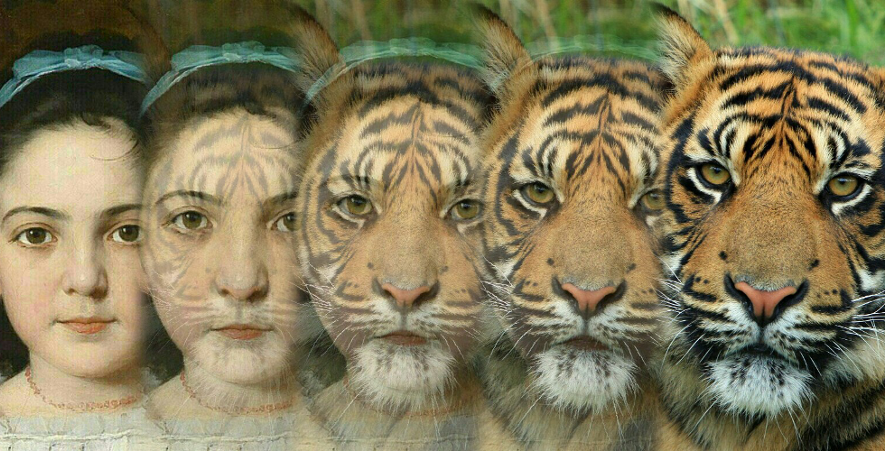 Zooface - GIF Animal Morph截图2
