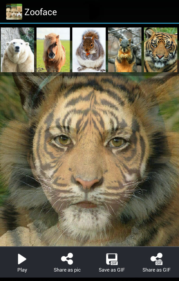 Zooface - GIF Animal Morph截图5