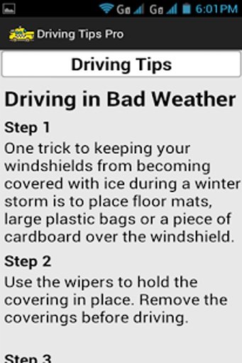 Driving Tips截图3