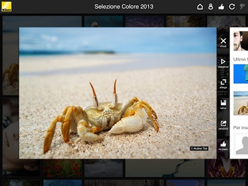 Nikon Forum Photo Contest截图6