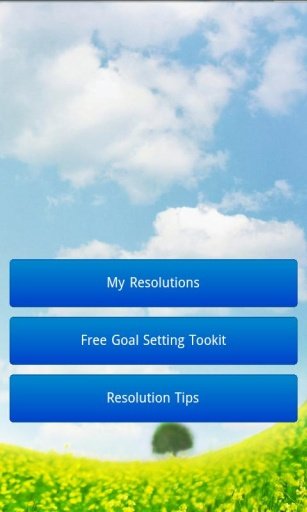 New Year Resolutions 2013截图4