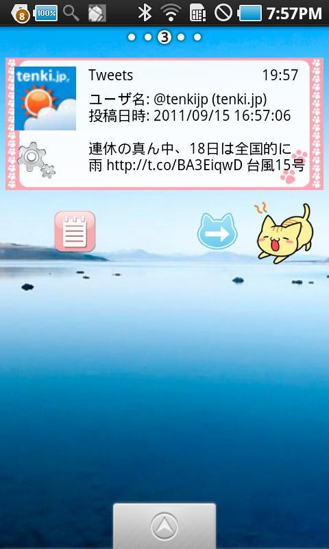 BLOCCOWidget image(Pretty Cat)截图6