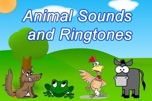 Animal Sounds &amp; Ringtones Kids截图6