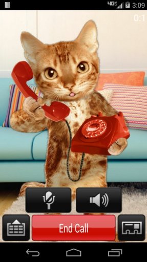 Cat Caller截图7