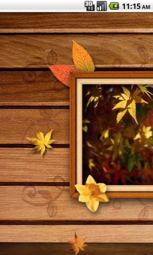 Free Frame Picture Theme截图3