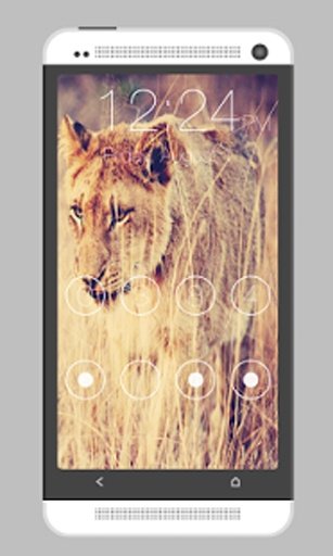 Fast Pin Lock Screen截图2