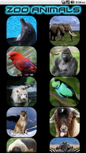 Kids - Zoo Animal Sounds截图8