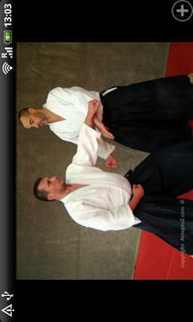 A step to Aikido 1 move DEMO截图