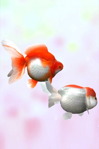 Gold Fish 3D截图2