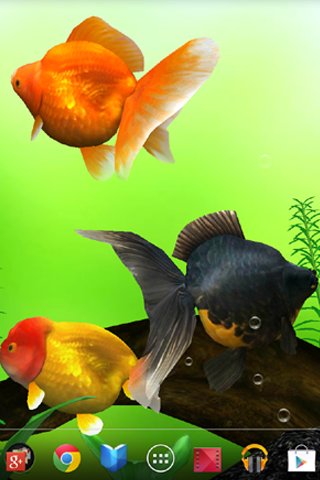 Gold Fish 3D截图3