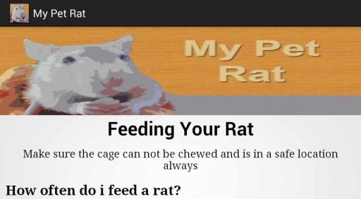 My Pet Rat - LITE截图10