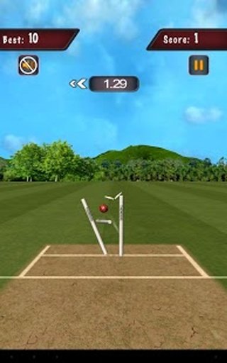 Flick Cricket 3D截图1