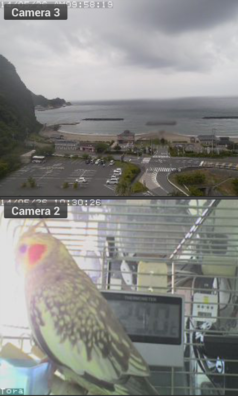 Viewer for Wansview ip cameras截图6