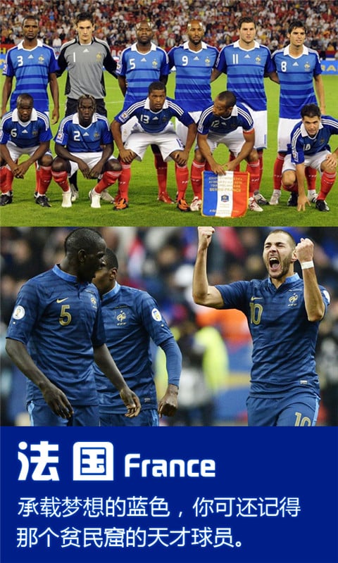 2014世界杯之法国截图4