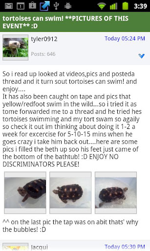 Tortoise Forum截图3