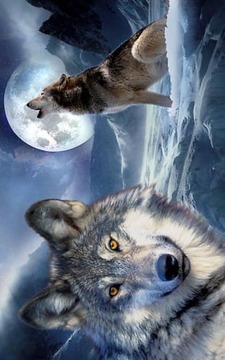 3D Wolf Wallpapers截图
