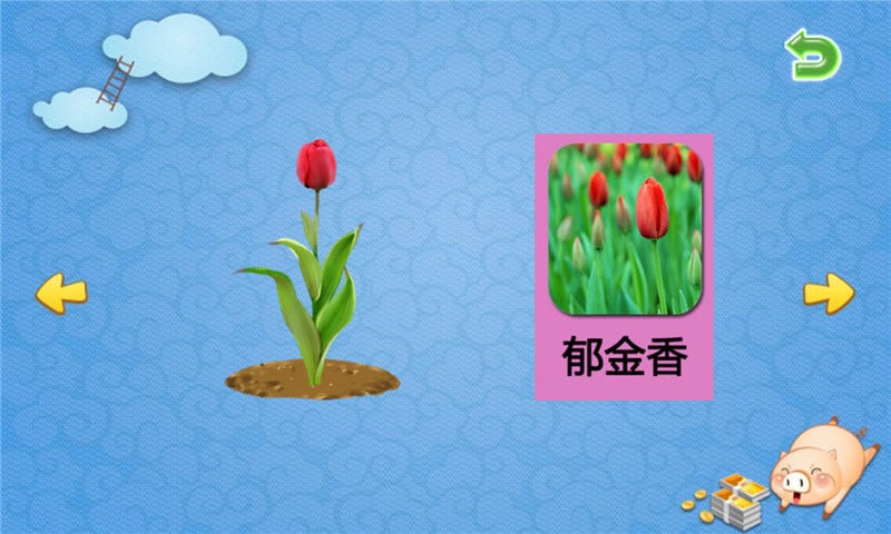 儿童学花卉生长截图1