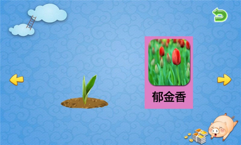 儿童学花卉生长截图3