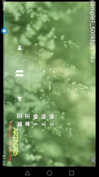 ZPlayer播放器截图