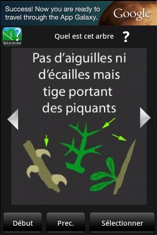 Quel est cet arbre ?截图2