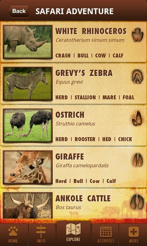 West Midland Safari Park截图2