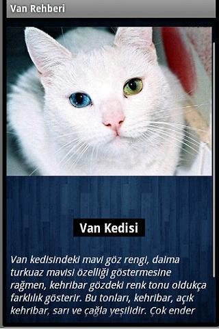 Van Kent Rehberi - Guide(Van)截图2