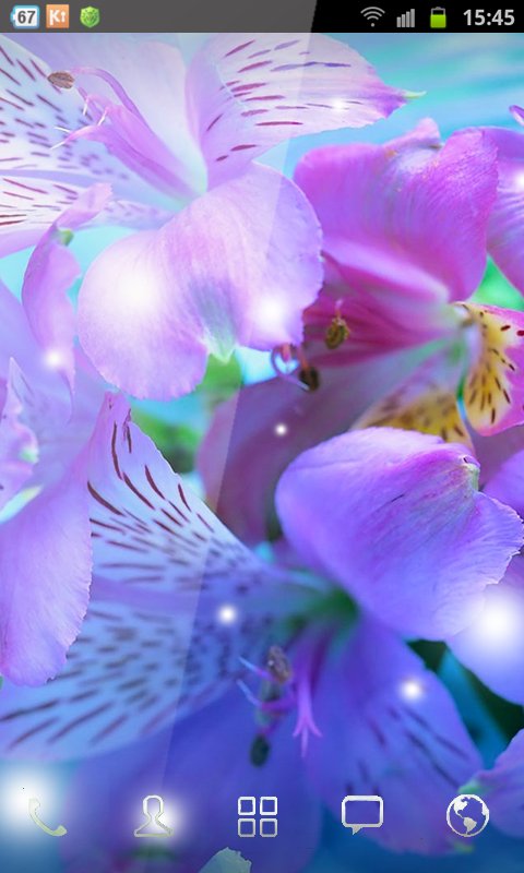 Gentle Orchid WP Live截图1