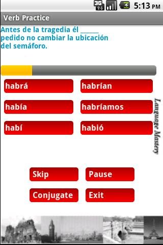 Free Spanish Verb Practice截图2