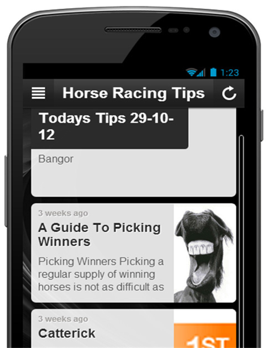 FREE HORSE RACING TIPS截图9