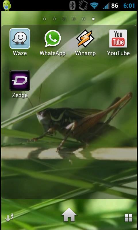 Grasshopper HQ LWP截图1