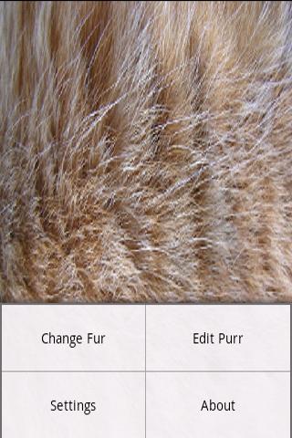 Fur Simulation截图1