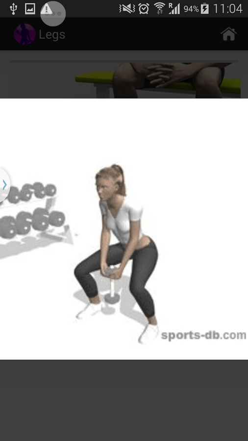 Female Fitness Workout Plan截图4